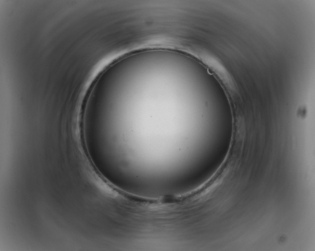 X0000102281288200807251350