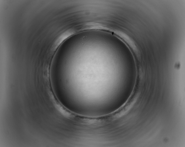X0000102281289200807251350
