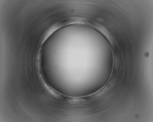 X0000102281290200807251350