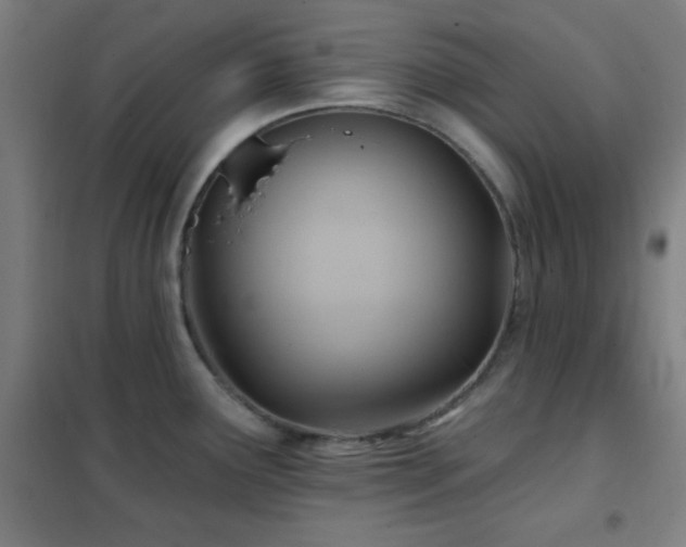X0000102281291200807251350