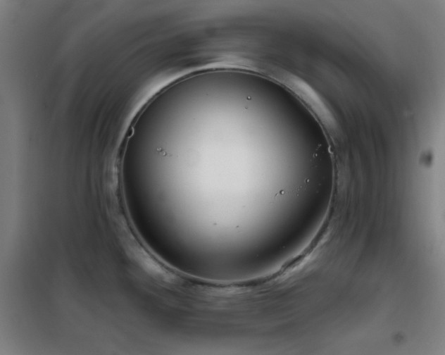 X0000102281292200807251350