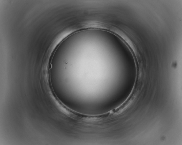 X0000102281293200807251350