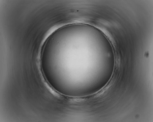 X0000102281294200807251350