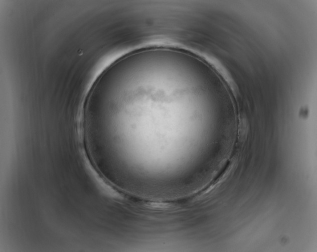 X0000102281295200807251350