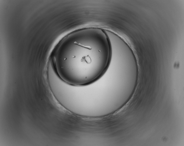 X0000102281296200807251350