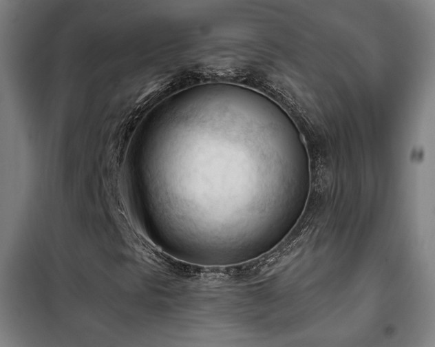 X0000102281297200807251349