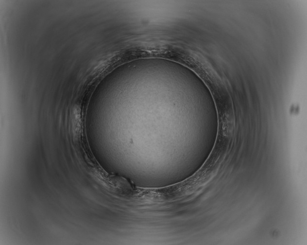 X0000102281298200807251349