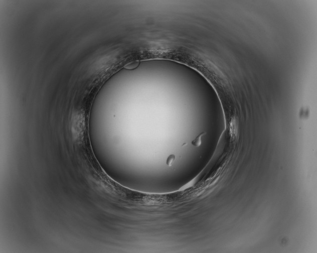 X0000102281299200807251349
