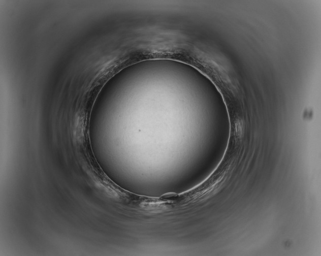 X0000102281300200807251349