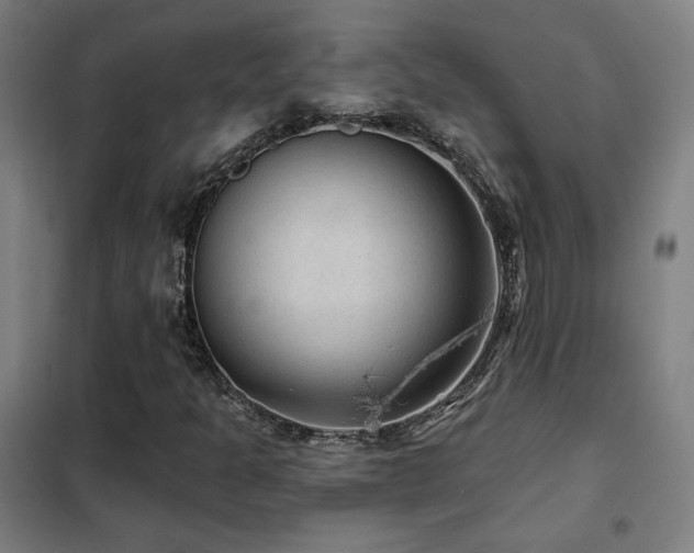 X0000102281301200807251349