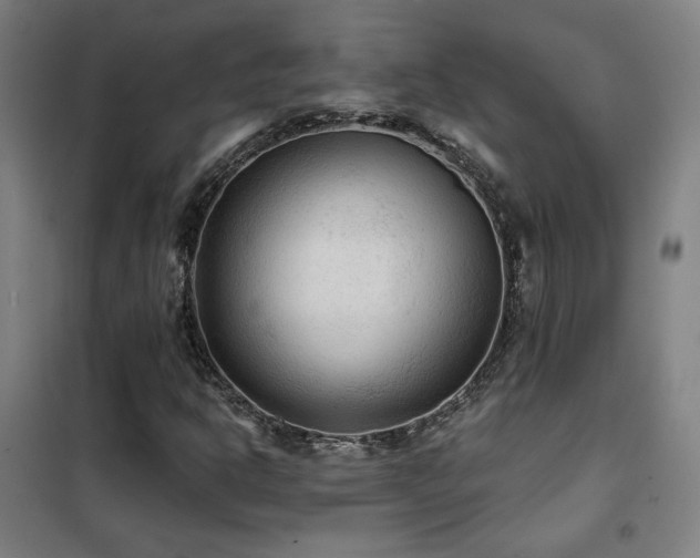 X0000102281302200807251349