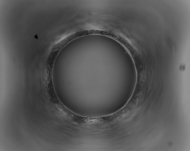 X0000102281303200807251349
