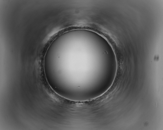 X0000102281304200807251349