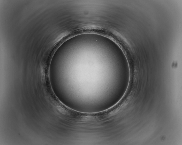 X0000102281305200807251349