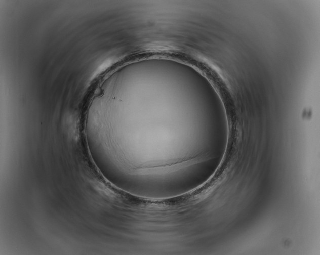 X0000102281306200807251349