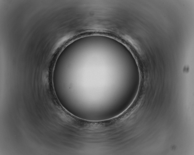 X0000102281307200807251349
