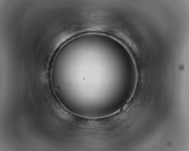 X0000102281308200807251349