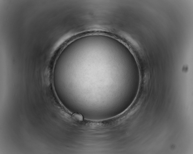 X0000102281310200807251350