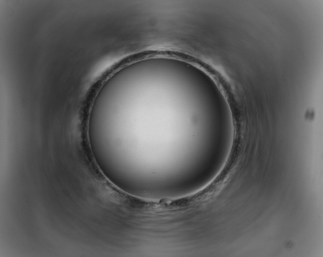 X0000102281311200807251350