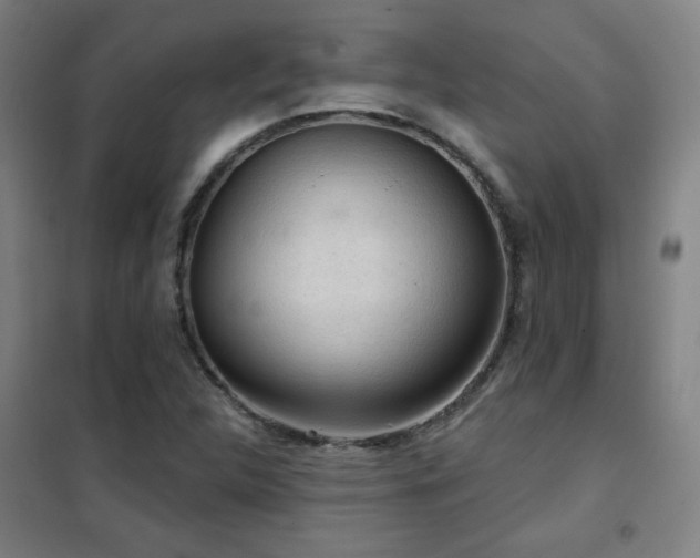 X0000102281312200807251350