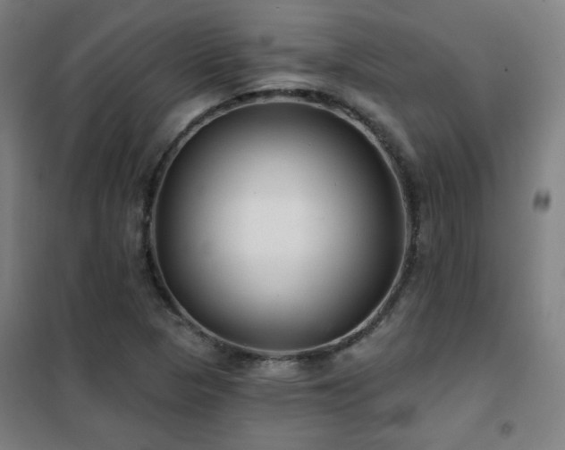 X0000102281313200807251350