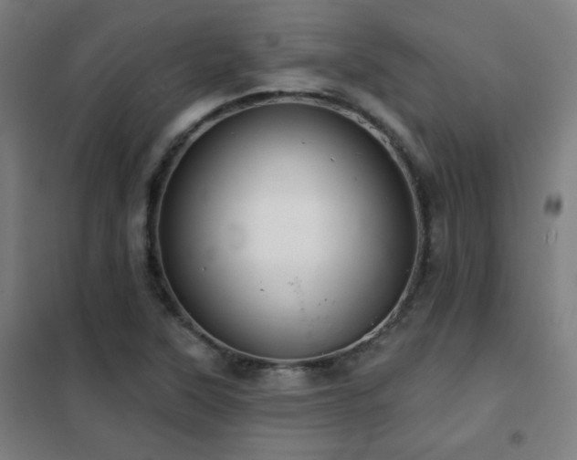 X0000102281315200807251350