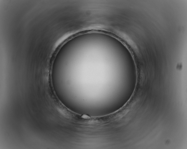 X0000102281316200807251350