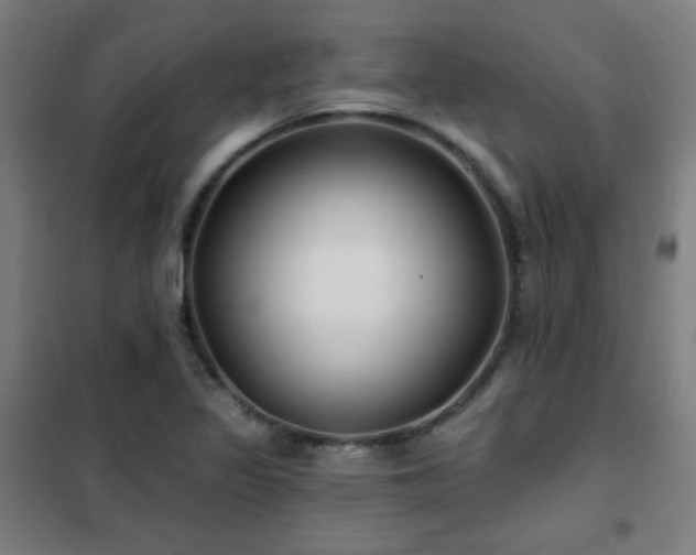 X0000102281317200807251350