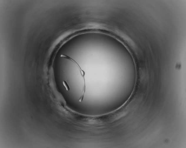 X0000102281318200807251350