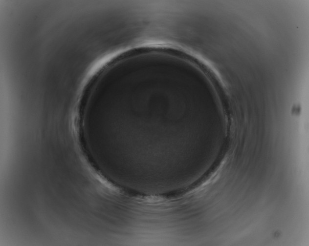 X0000102281319200807251350