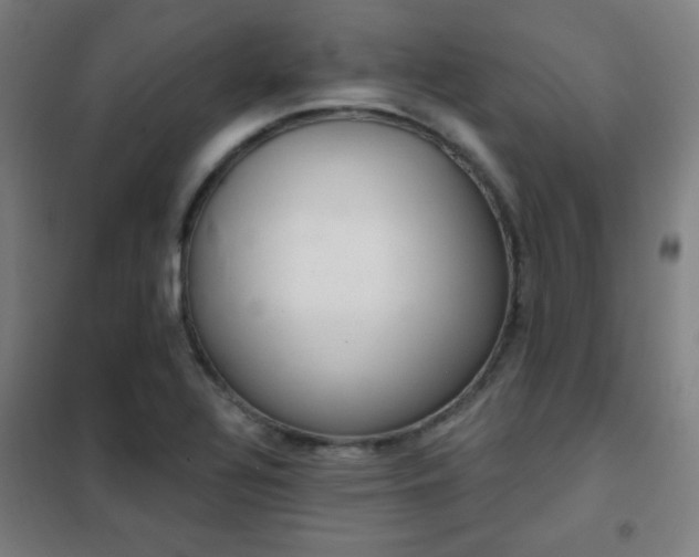 X0000102281320200807251350