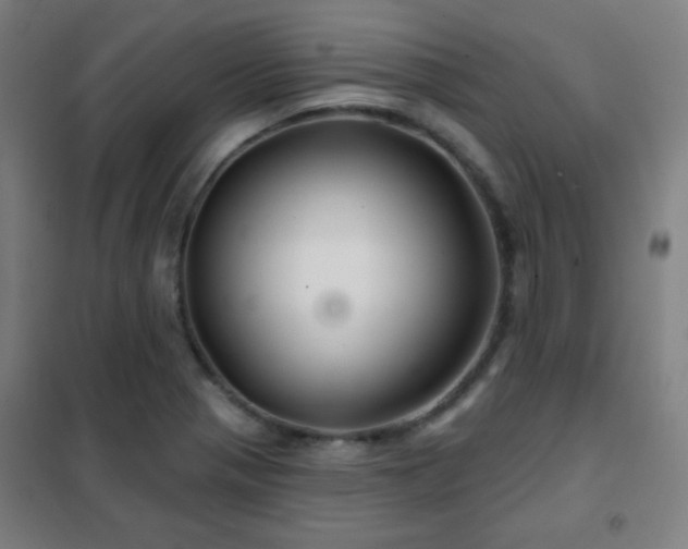 X0000102281321200807251350