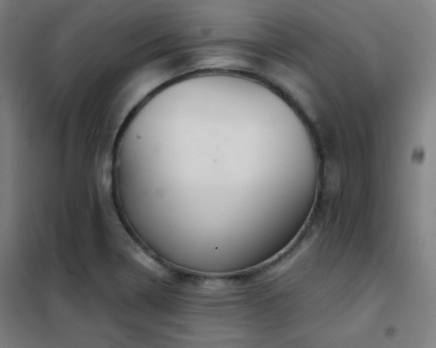 X0000102281322200807251350