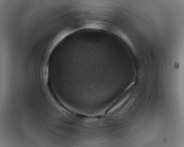 X0000102281323200807251350