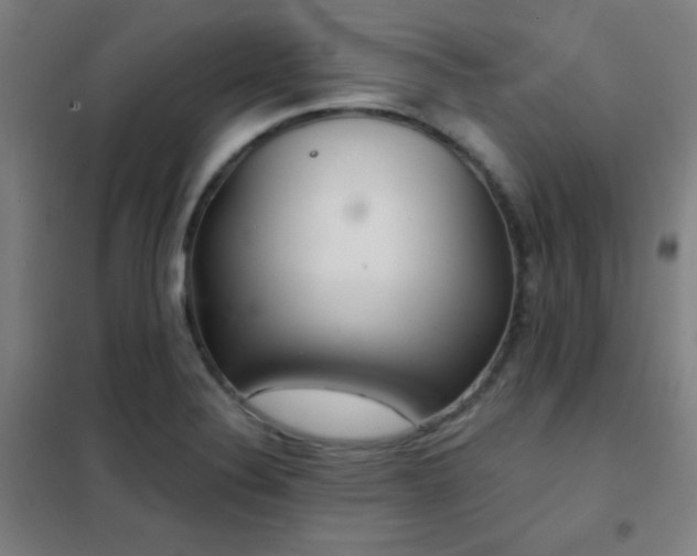 X0000102281324200807251350