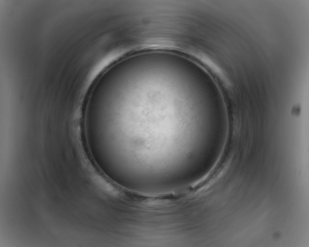 X0000102281325200807251350