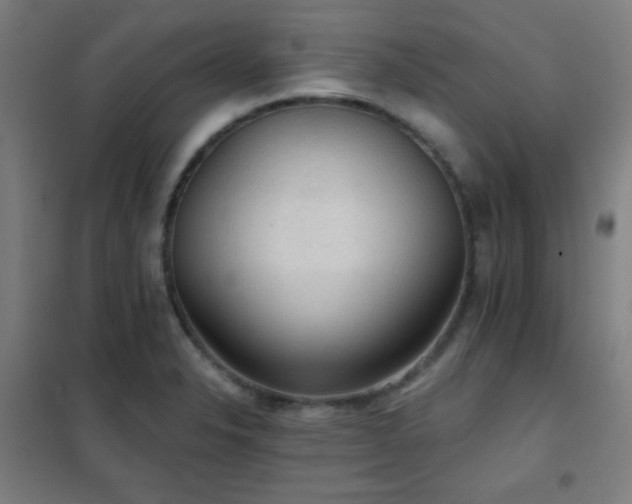 X0000102281326200807251350