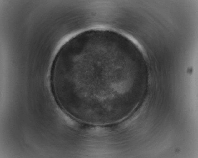 X0000102281327200807251350