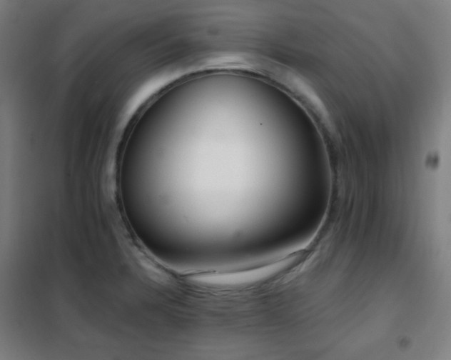X0000102281328200807251350