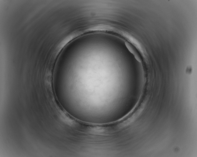 X0000102281329200807251350