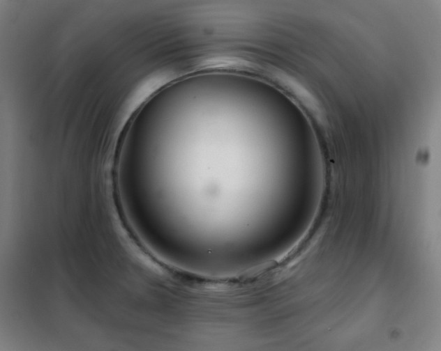 X0000102281330200807251350