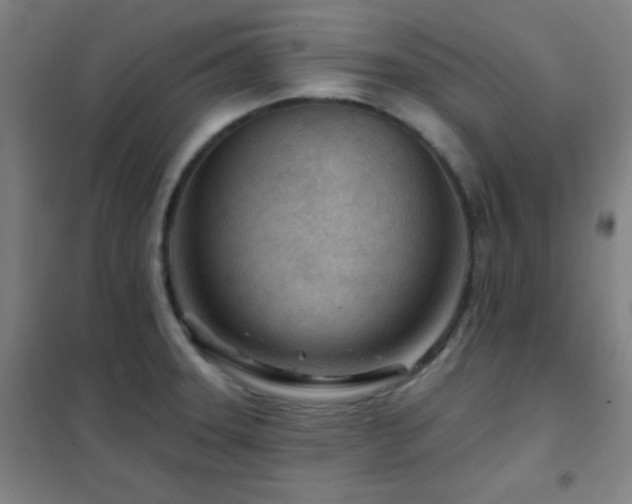X0000102281331200807251350
