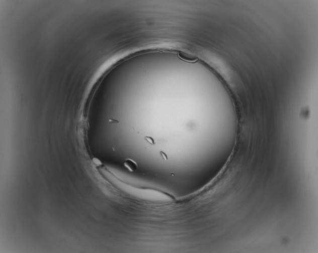 X0000102281332200807251350