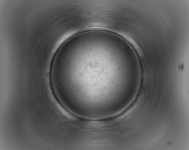 X0000102281333200807251350