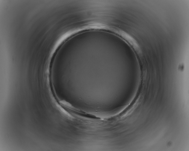 X0000102281334200807251350
