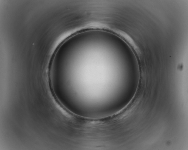 X0000102281335200807251350