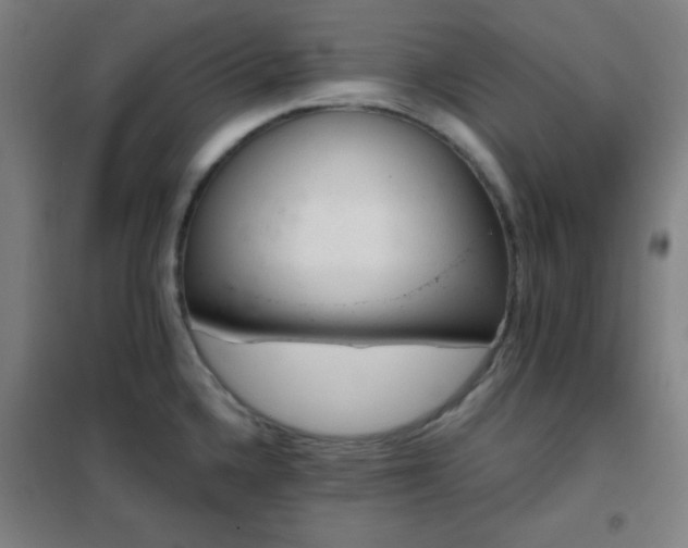 X0000102281336200807251350