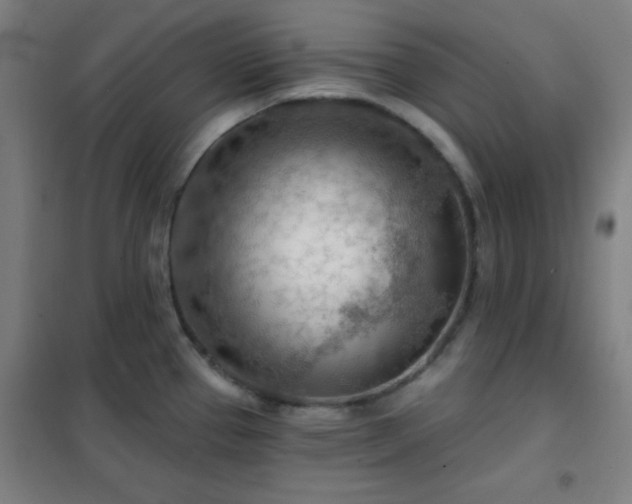X0000102281337200807251350