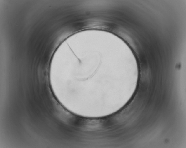 X0000102281338200807251350