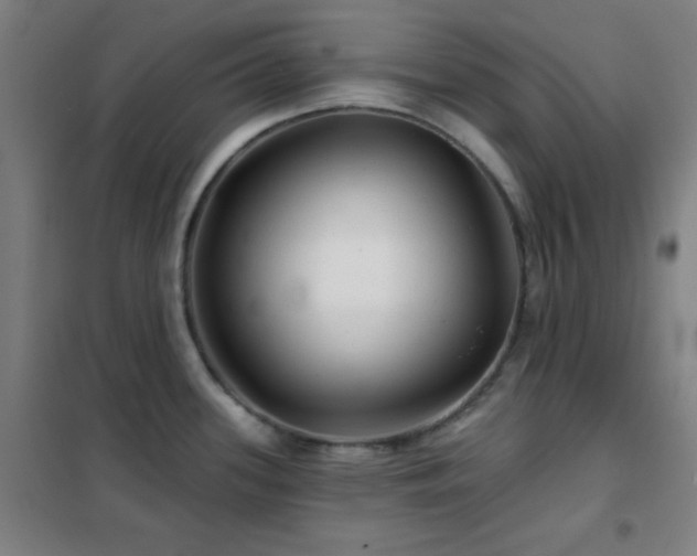 X0000102281339200807251350